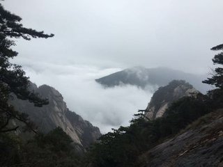 偈一首