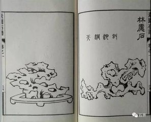 嘉阳官舍奇石甚富散弃无领略者予始取作假山