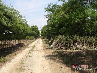 崔驸马山池重送宇文明府（得苗字）