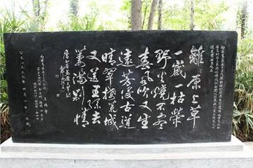 刑部白侍郎谢病长告，改宾客分司，以诗赠别