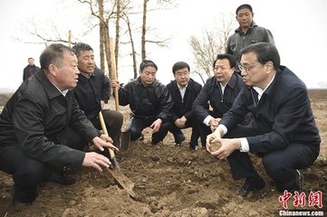 田间观雨忆叶正则旧话