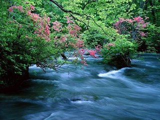 踏莎行·雨霁风光