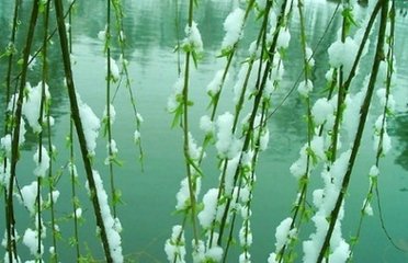 雨晴风日绝佳徙倚门外