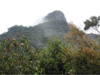 送游几叟衡山尉