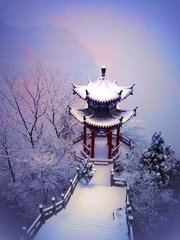 寄题林景思雪巢六言三首