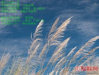 风入松·霏霏小雨恼春光