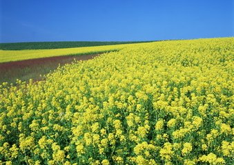 水龙吟（别吴兴至松江作）