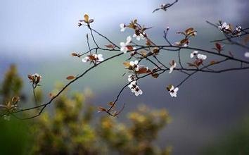 倦寻芳·暮帆挂雨