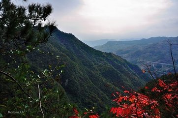 游雪窦杖锡七首·徐凫岩