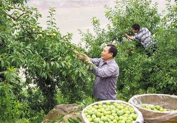 满江红·莽莽云平