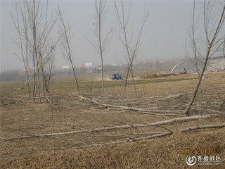 题崔庄庵壁