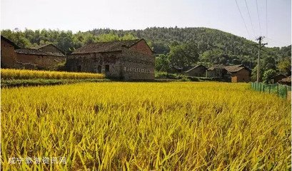 经月岩山