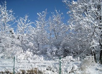 己丑二月三日大风雨雪 其一