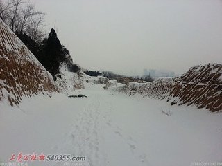 木兰花（雪里）