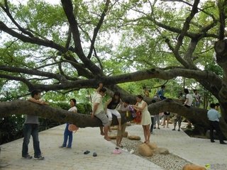 游惠阳西湖