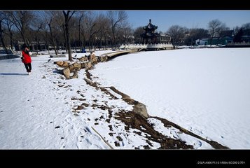 春雪初霁杏花正芳月上夜吟