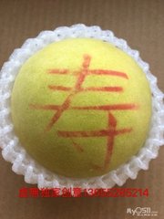 上党奏庆云见
