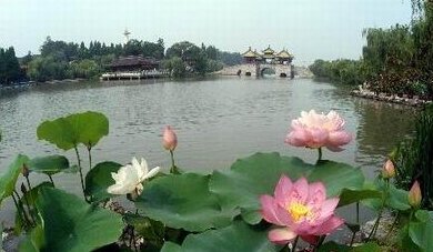 惜红衣·吴兴荷花