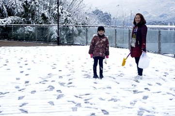 和郑康道喜雪