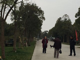 奉简才元探梅有作兼怀旧游