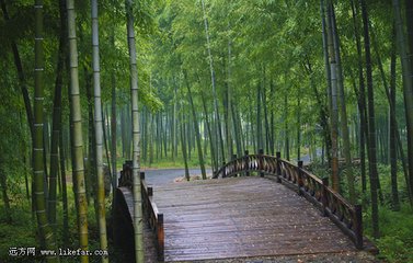 山中五咏。门柳