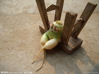 武陵春（正月七日，武都雪霁立春）