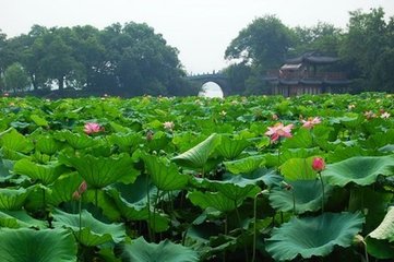 虞美人·西湖十里孤山路