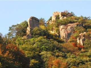 过广德宿开元寺上人房