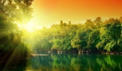 柳梢青（贺方听蛙八十）