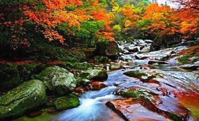 李侍御归炭谷山居同宿华严寺