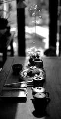 黄汇征惠石菖蒲既赋古风复成四韵