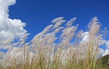 浪淘沙·窈窕绣帏深