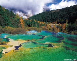 和奇父竹斋小池及游春五绝