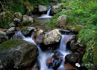 送进士陈峣往睦州谒冯郎中