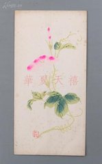 赠采药叟