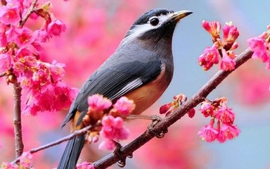 再用韵贺计使高耻堂建台得雨