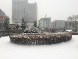 雪晴三首