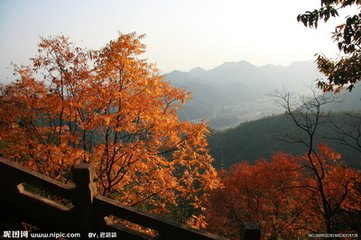 飞云亭