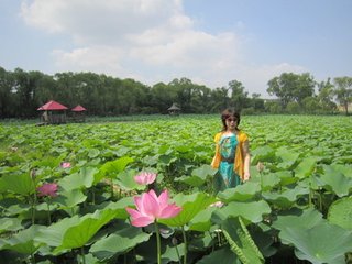 鹧鸪天（寄少城）