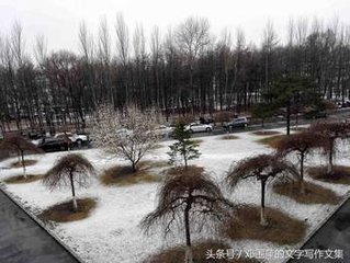 早春雪中