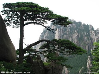 江城子（刘左史光祖别席和韵）