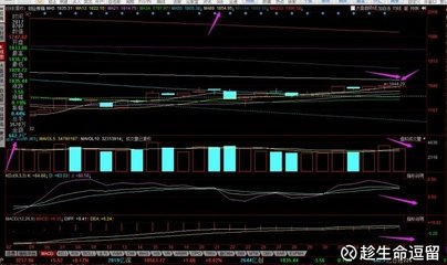 与王六履震广州津亭晓望