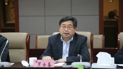 和河南罗主簿送校书兄归江南