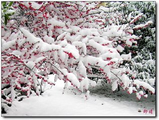 继韵耿时举寄示往岁梅雪