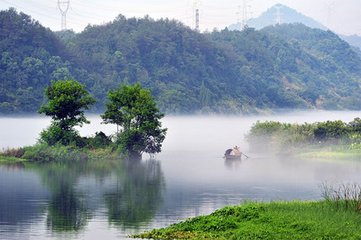 淇澳青青水一湾