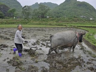 答韦秀才寄一首