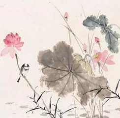 夏至