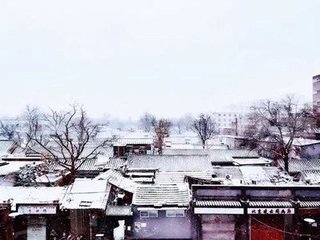 春雪有感呈王正叔束徽之