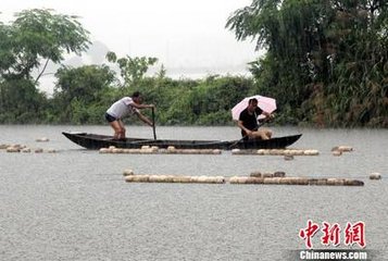 闻鹧鸪