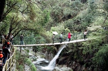 炎十世先陇在婺源不归拜扫者九年清明有感遂